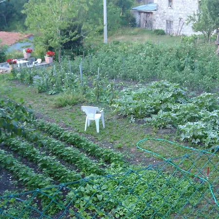 Agriturismo Il Casalone-2